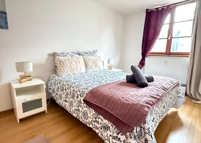 Charme Coeur Ideal Marche De Noel Apartment Obernai