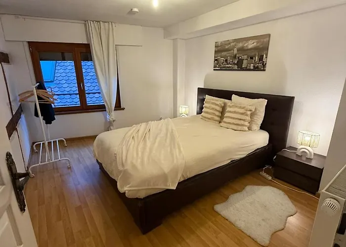 Charme Coeur Ideal Marche De Noel Apartment Obernai